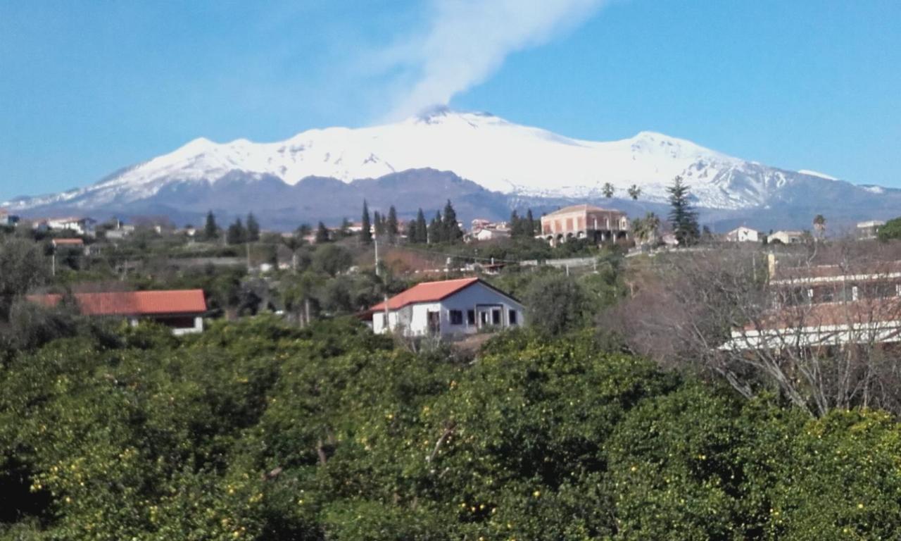 אסראלה Villa Dei Limoni Etna-Mare מראה חיצוני תמונה